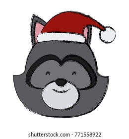 Raccoon santa hat