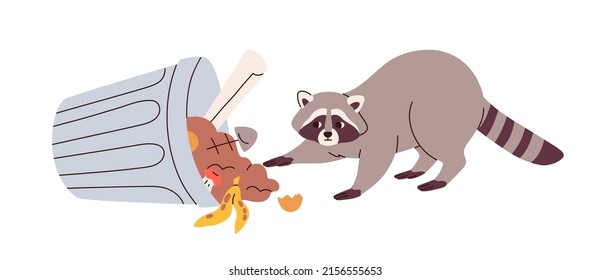 Raccoon searching for food in trash can. Racoon finding leftovers in fallen waste bin. Animal eating scraps from garbage, rubbish, junk pile. Flat vector illustration isolated on white background