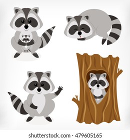 Raccoon set with standing raccoon, raccoon with baby, sleeping raccoon and raccoon inside tree. Vector cartoon illustration.