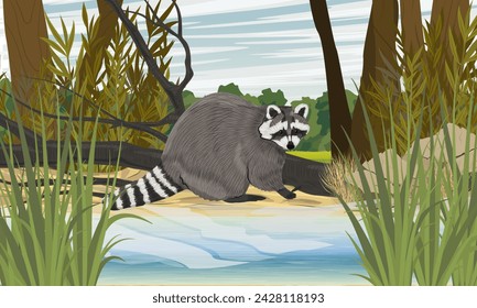 A raccoon sits on the shore of a lake. Sandy shore of the lake with high thickets of cattail. Realistic vector landscape