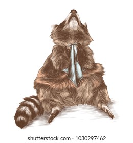 raccoon sitting and looking up, knotted collar for food and preparing for meal, sketch vector graphic colored drawing
