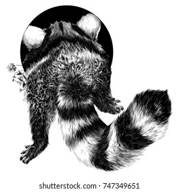raccoon sketch vector graphics back black-and-white monochrome pattern