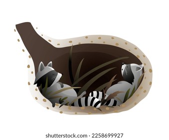 Raccoon sleeping or hibernating in its den or burrow. Cute animal habitat illustration for children. Kids animal house cartoon, inside the raccoon den. Vector wildlife drawing for kids.