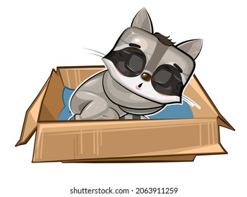 The Raccoon sleeps in a cardboard box. A pet as a gift or a homeless person. Childrens illustration. The cute animal fell asleep. Picture in cartoon style. Isolated on white background. Vector.