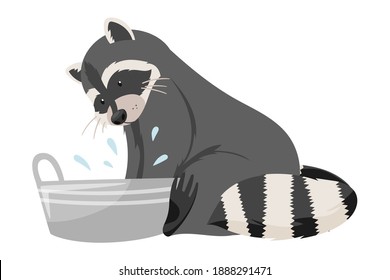 Raccoon Specie with Striped Tail Splashing in Basin with Water Vector Illustration