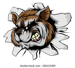 Raccoon sports mascot breakthrough concept of a raccoon sports mascot or character breaking out of the background or wall