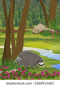 A raccoon stands on a flowering meadow in a green summer forest. wild animals. Realistic vector vertical landscape