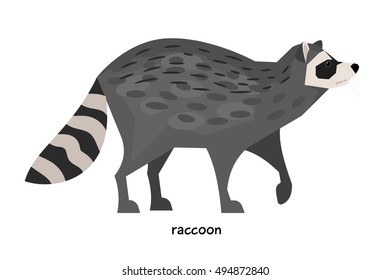 Raccoon with a striped tail standing