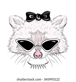 Raccoon in sunglasses and with a bow.  Vector illustration for greeting card, poster, or print on clothes.

