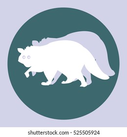 Raccoon - symbol