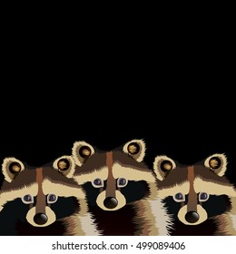 raccoon vector cute wild wildlife animal mammal