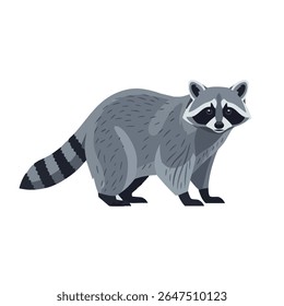Desenho de vetor Raccoon em vista lateral - pose corpo inteiro em fundo branco, ilustração de vetor 2D