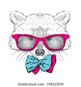 Raccoon vector. Hipster. Vector illustration for greeting card, poster, or print on clothes.