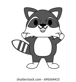 raccoon vector illustration