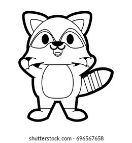 raccoon vector illustration