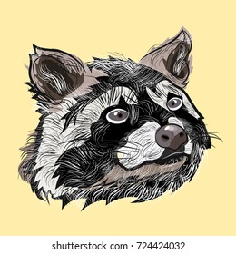 Raccoon. Vector illustration
