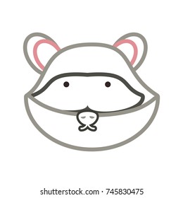 raccoon vector illustration