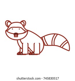raccoon vector illustration
