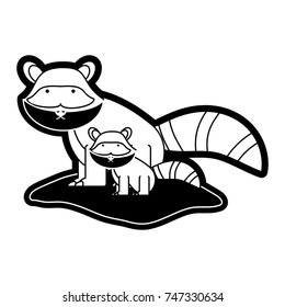 raccoon vector illustration
