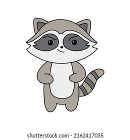 Raccoon vector illustration, cute serious raccoon drawing