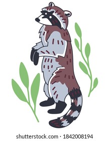Raccoon vector illustration. Hand drawn cute Procyon lotor. Сomposition with leaves on white background.