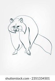 raccoon vector line art animal wild life single one line hand drawn illustration isolated