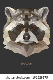 Raccoon vector polygon geometric