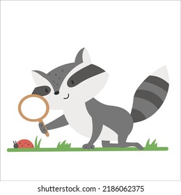 raccoon watching through magnifying glass