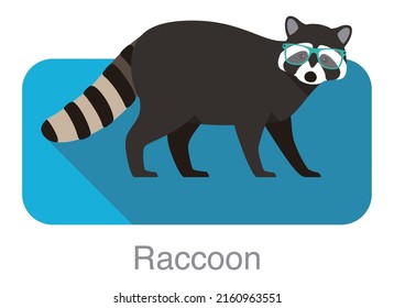 Raccoon wearing a glasses and walking