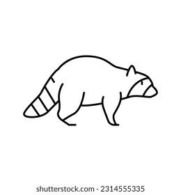 raccoon wild animal line icon vector. raccoon wild animal sign. isolated contour symbol black illustration
