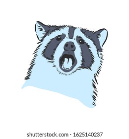 raccoon, wild animal, vector illustration 