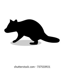 Raccoon wildlife black silhouette animal