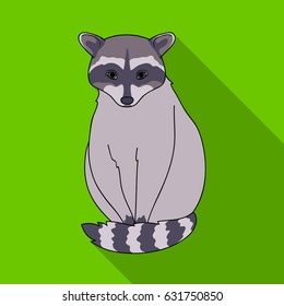 Raccoon.Animals single icon in flat style vector symbol stock illustration web.