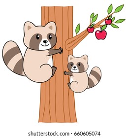 Raccoons climbing an apple tree.