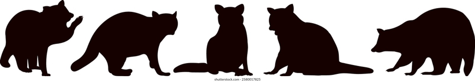 raccoons collection, set silhouette on white background vector