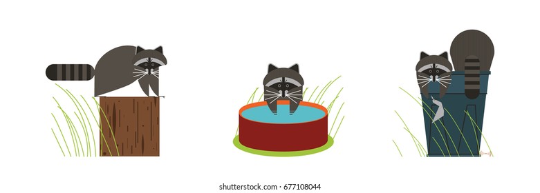 Raccoons flat illustration.