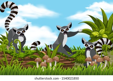 Raccoons in nature scene illustration