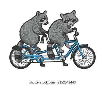 raccoons ride tandem bike color sketch engraving vector illustration. T-shirt apparel print design. Scratch board imitation. Black and white hand drawn image.