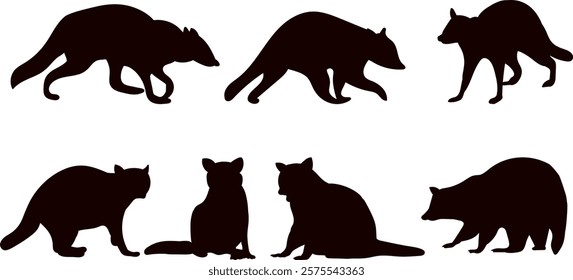 raccoons set silhouette on white background vector