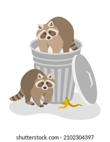 Raccoons steal household rubbish in a street trash can. Wildlife control and pest control services, raccoons removal. Flat cartoon illustration isolated on white. Wild animals create a mess of garbage