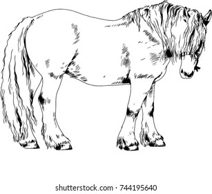 race horse without a harness drawn in ink by hand on white background in full length