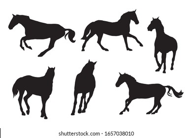 Race horses silhouettes kit. Clip art set on white background
