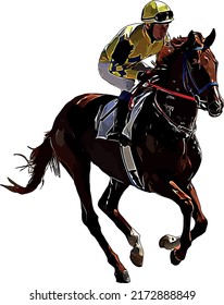 Racehorse with jockey at races. Isolated on a white background
