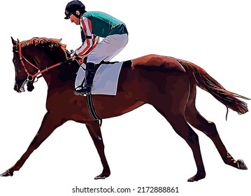 Racehorse with jockey at races. Isolated on a white background