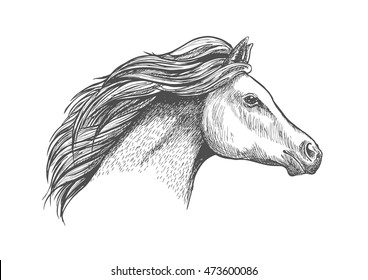 61 Arabian flowing mane Images, Stock Photos & Vectors | Shutterstock