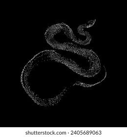 racer snake hand drawing vector isolated on black background.