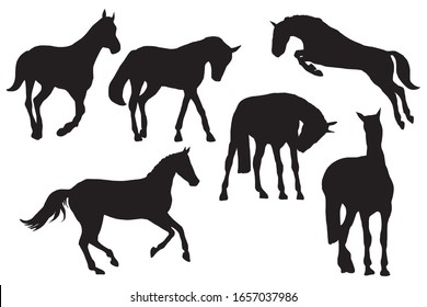 Racing horses silhouettes set on white background