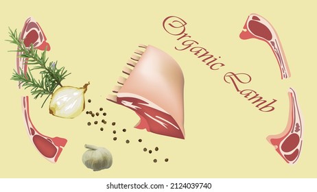 Rack of Lamb, Organic fresh meat,Lamb cutlets, Vector illustration