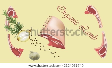 Rack of Lamb, Organic fresh meat,Lamb cutlets, Vector illustration