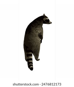 Racoon animal logo, icon, symbol design template 